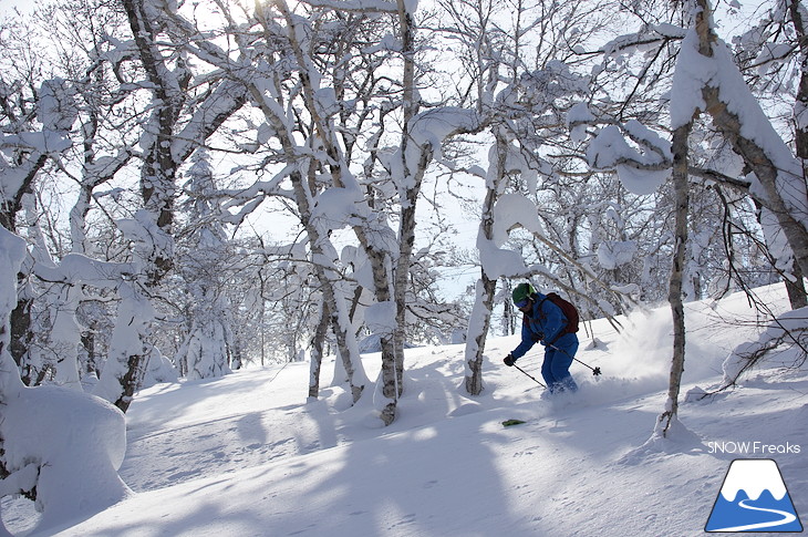 DYNASTAR SKI 